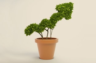 E-Marketing & Référencement